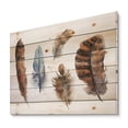 thumbnail image 2 of Designart 'Ethnic Boho Feathers In Earth Tones On White' Bohemian & Eclectic Print on Natural Pine Wood, 2 of 5