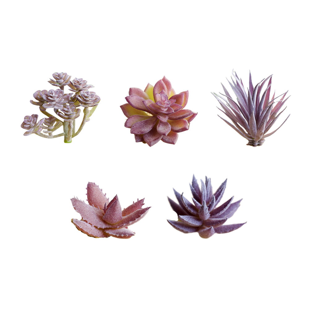 Purple Succulents Artificial Flower Simulation Grass Flocking Plants 