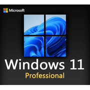 Windows 11 Pro USB Flash Drive