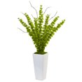 thumbnail image 1 of Bells of Ireland in White Planter, 1 of 1