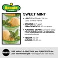 thumbnail image 3 of Bonnie Plants Sweet Mint 2.32 qt., 3 of 10