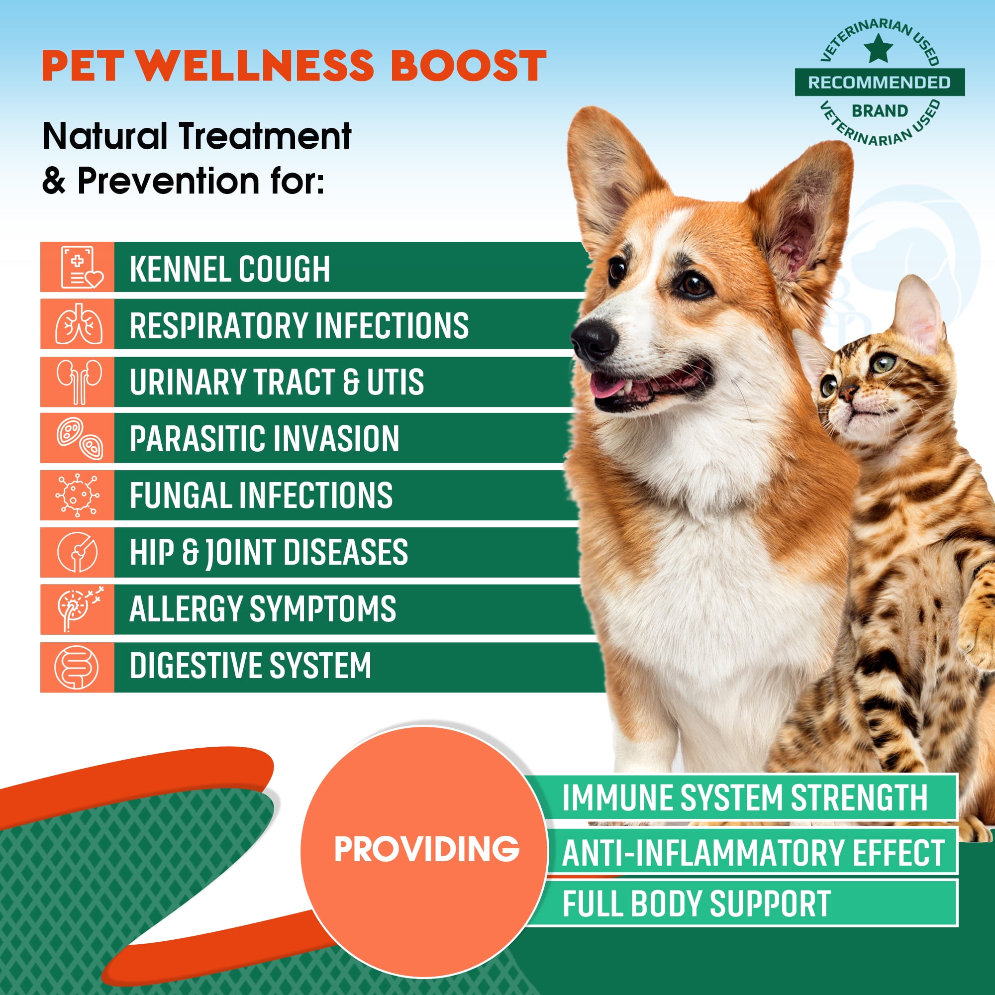 Natural remedies for kennel cough sale