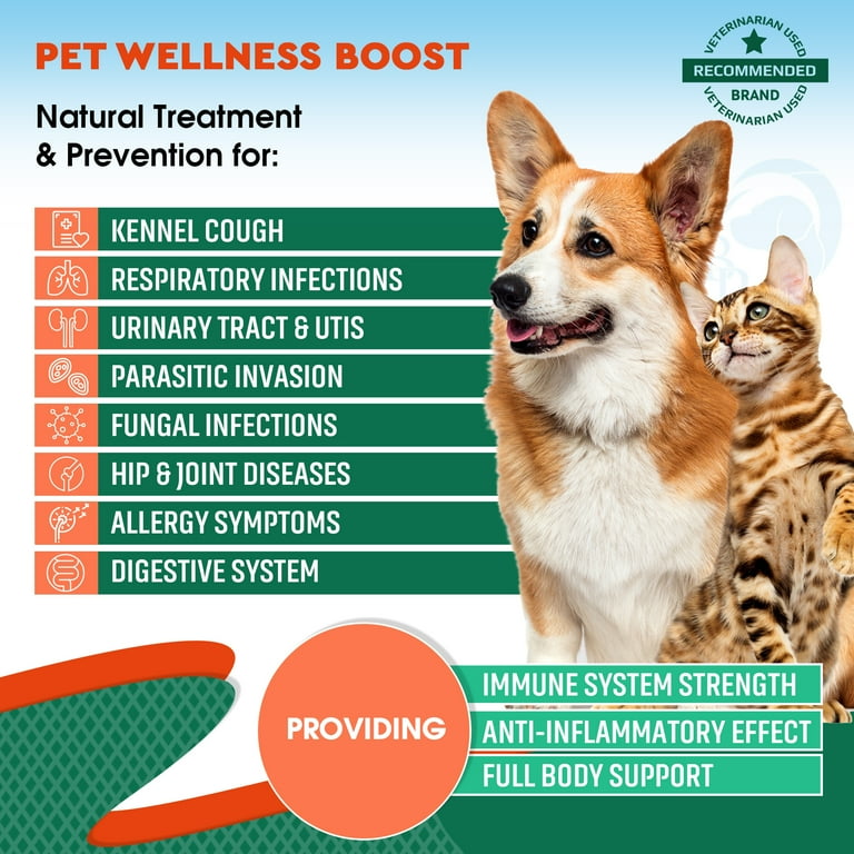 Natural remedies for canine uti hotsell