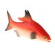 thumbnail image 1 of Pescado artificial realista Artificial Mar Pescado Modelo Ornamento Para La Decoración Del Acuario Kids Juguete Educativo - rojo rojo Magideal Pescado artificial realista, 1 of 7