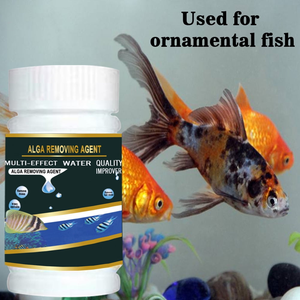 100g fish tank