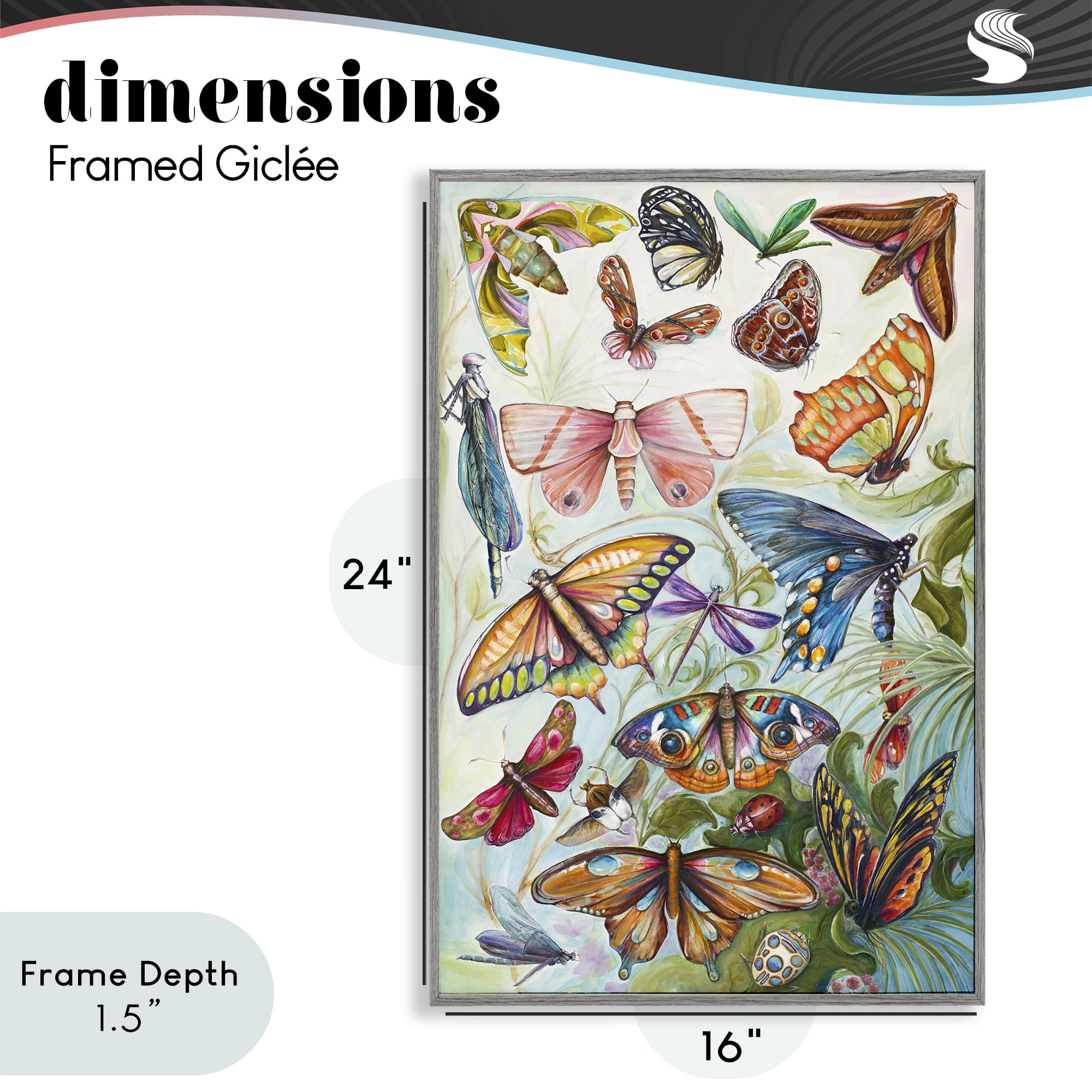Stupell Industries Colorful Butterfly Conservatory Gray Framed Giclee Art, design by Diannart