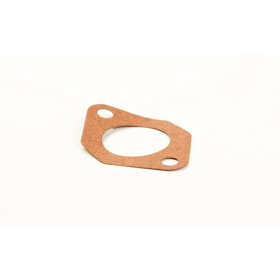 Briggs and Stratton 710237 Intake Gasket