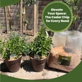thumbnail image 6 of JYLP 16 Quart Incense Cedar Wood Chips, 100% Natural Shredded Cedar Shavings, Mulch for Potted House Plants, Vegetable Garden Beds, Landscaping and Pet Bedding Indoor Outdoor Use, 6 of 6