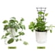 thumbnail image 4 of Matsuzay 6x accesorios negros resistentes para trepar plantas, accesorios de jardinería de soporte resistente, fáciles de usar y duraderos Jardín y Patio, 4 of 6