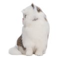 thumbnail image 1 of Plush Cat Animal Model, Artificial Hair Skin Friendly Vivid Home Decoration Simulation Plush Cat Model  For Office, 1 of 8