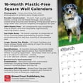 thumbnail image 6 of Australian Shepherds | 2026 12x24" (Hanging) Square Wall Calendar | Plastic-Free, 6 of 9