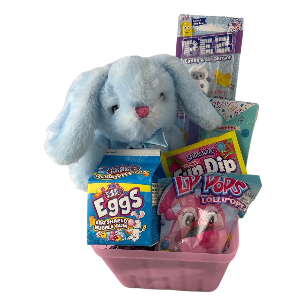 Easter Basket for Girls Filled Candy Easter Bunny Plush Toys (Blue