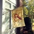 thumbnail image 2 of Carolines Treasures 8161-FLAG-PARENT Shrimp  Flag  multicolor, 2 of 2