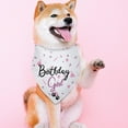 thumbnail image 2 of Dog Birthday Girl Happy Birthday Dog Bandana for Girls Pet Accessories for Pet Lovers Bandana for Puppy Girl Birthday, 2 of 6