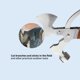 thumbnail image 3 of En 1 Martillo Multifuncional Compacto Plegable Portátil Con Mango De Madera Yuarrent OD009676-02, 3 of 6