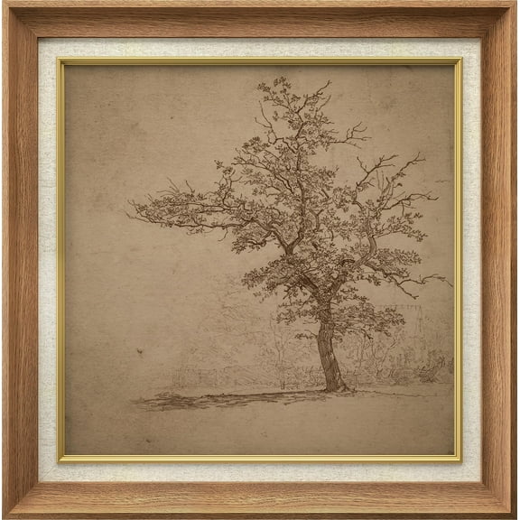 IDEA4WALL Premium Frame Wall Art Forest Tree Field Illustration Mid-Century Antique Nature Wilderness Illustrations Fine Art Retro Historic Wall Decor for Living Room, Office - 26"x26" Natural