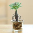 thumbnail image 3 of Coofit Artificial Succulent Plant Mini - Faux Potted Succulent Home Desktop Decoration, 3 of 4
