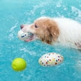 thumbnail image 3 of Anxiety Relief Dog Toy Outdoor Play Rebound Dog Ball Lightweight Floating Dog Toy for Water-friendly Fun Pet Teething for Anxiety for Dogs for Outdoor, 3 of 8