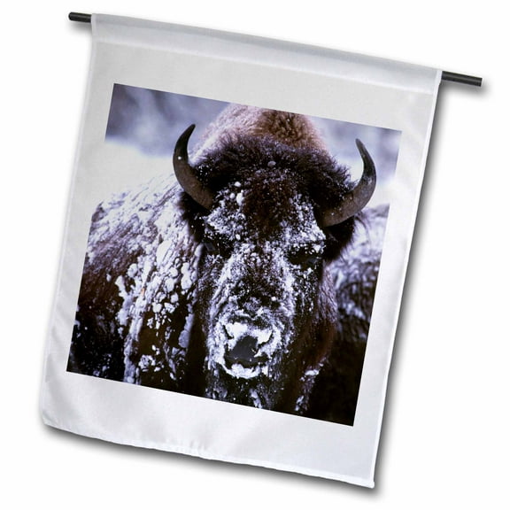 3dRose, Yellowstone NP, Bison in Winter - US51 CSL0007 - Charles Sleicher, 12 x 18 inch Garden Flag