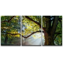 wall26 - 3 Piece Canvas Wall Art - Mighty Oak Tree - Modern Home Art Stretched and Framed Ready to Hang - 16"x24"x3 Panels