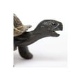 thumbnail image 6 of Safari Ltd. Tortoise Baby Figurine - Lifelike 5.5" Model Figure - Educational Toy for Boys, Girls, and Kids Ages 18M+, 6 of 6