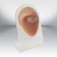 thumbnail image 3 of TISHITA Human Models Practical Silicone Modeling Delicate Texture for Exercises Office eye with stand, 3 of 8