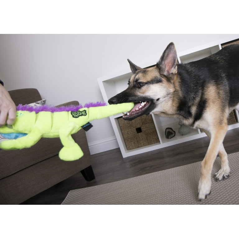 Iguana dog toy hotsell