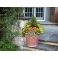thumbnail image 3 of Suncast Waterton 18 Inch Resin Round Decorative Flower Pot Planter, Terracotta, 3 of 3