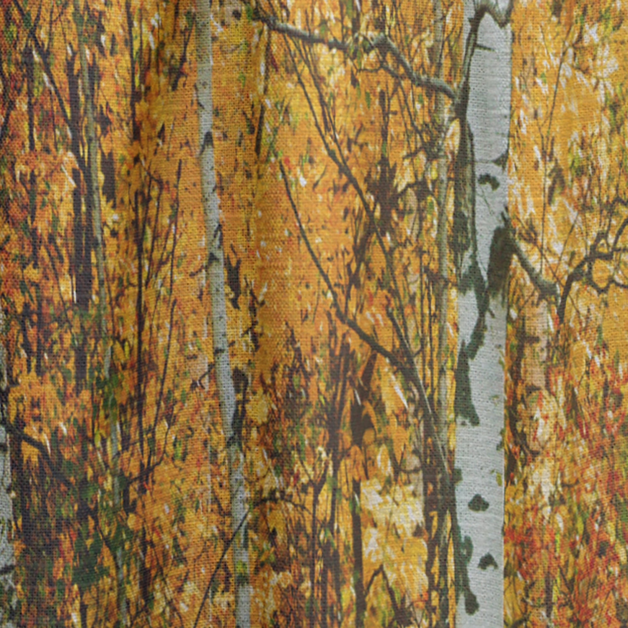 Designart 'Yellow Colorful Autumn Forest' Forest Curtain Panel