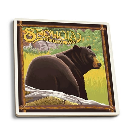 

Sequoia National Park Bear in Forest (Absorbent Ceramic Coasters Set of 4 Matching Images Cork Back Kitchen Table Decor)