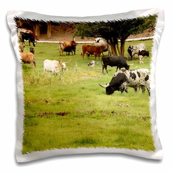 3dRose, Texas Longhorn cow cattle in green pasture - US44 PWO0002 - PiperAnne Worcester, 16x16 inch Pillow Case