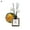 Fragrans, variant on Reed Diffuser Set Spring Floral Home Scented Aromatherapy Oil UK Fragrance
