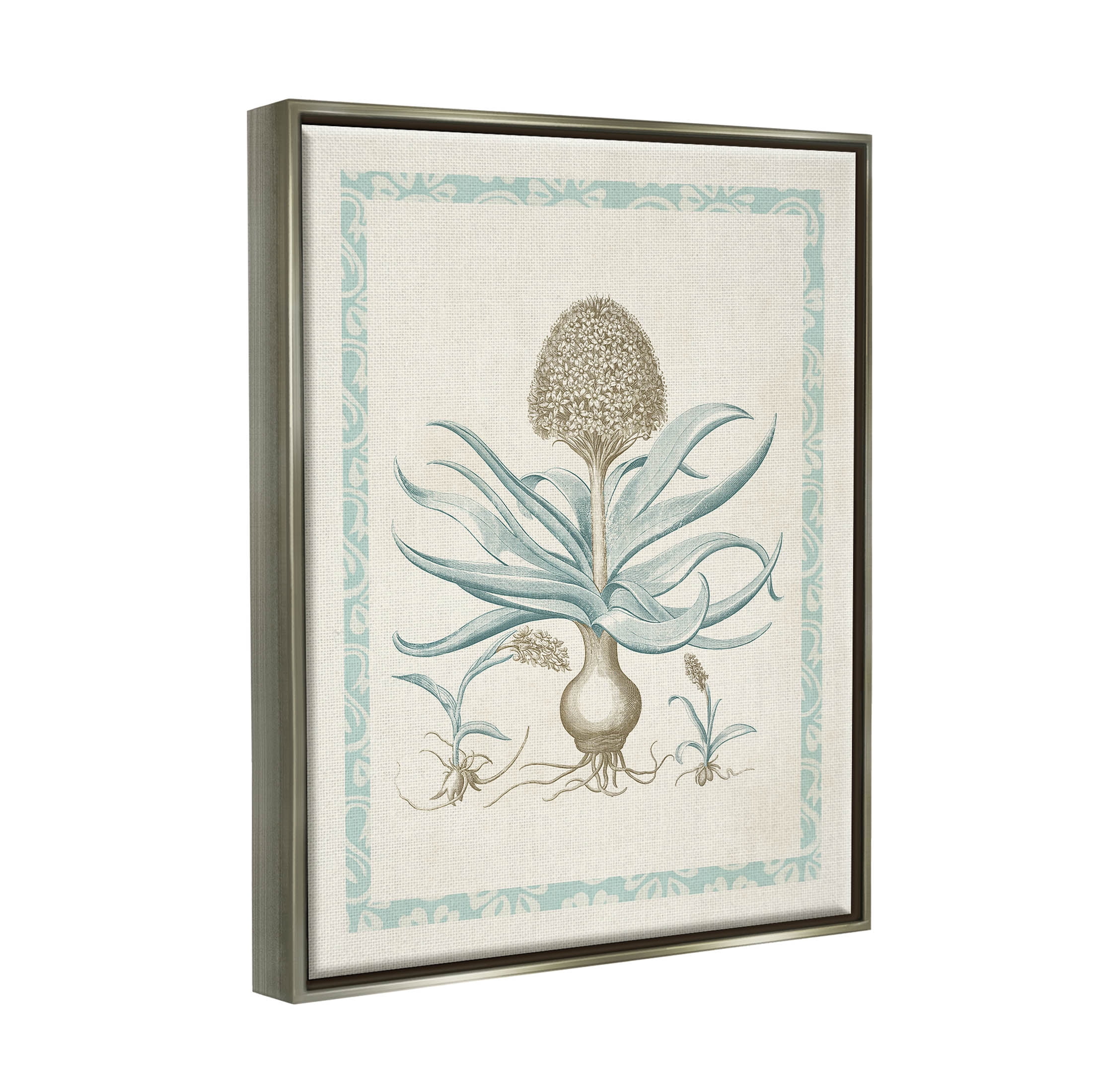 Stupell Industries Botanical Latin Study Plant Graphic Art Luster Gray Floating Framed Canvas Print Wall Art, Design by Vision Studio