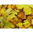thumbnail image 4 of oneOone Cotton Cambric Yellow Fabric Florals Quilting Supplies Print Sewing Fabric By The Yard 56 Inch Wide-HMA, 4 of 4