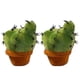 thumbnail image 3 of Cojín de peluche con forma de cactus, lindos sillones de peluche, 3 of 4