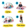 thumbnail image 2 of Baby Gym Baby Einstein Ocean Explorers Kickin' Tunes Rosa, 2 of 9