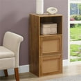 thumbnail image 1 of Xtra Storage Weave Two-Door Cabinet with Shelf in Caramel Wood Frame Finish, 1 of 9