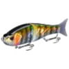 Striped Gill