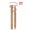 B, variant on DHARMONAL Rotating Double Headed Lipstick Lip Liner Small Lipstick Tigers Milk Lip Gloss Dry Rose Petals Make up Kits with Foundation Lipstick And Everything Else Glow in The Dark Stones 1000