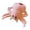 Pink, variant on Spider Plush Toy - 9.8-inches Cute Pink Spider Plush Stuffed Animal,Gift for Here& His,Party and Home Decoration