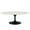 White, variant on Allora Modern 48" Oval Top Metal Coffee Table in Black/Walnut