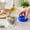 A, variant on SHJHENG Cute Bear Print Airtight Storage Canister With Blue Cover 3 Sizes Clear Round Dry Food Container For Spice Nut Pasta Fruit Tea Pantry Kitchen Organizer