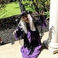 thumbnail image 4 of Haunted Hill Farm 2.25-ft. Animatronic Witch, Indoor/Outdoor Halloween Decoration, Red LED Eyes, Poseable, Hazel, 4 of 11