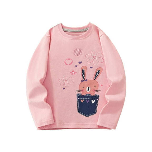 Kiijoy Toddler Girls Cotton Long Sleeved T-Shirt Fall Casual Crewneck T Shirt, Sizes 3-4