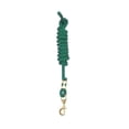 thumbnail image 1 of Perri's Poly Nylon Lead with Snap, Hunter Green, 8-Feet, 1 of 3