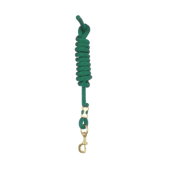 Perri's Poly Nylon Lead with Snap, Hunter Green, 8-Feet