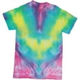 Create Basics Tie Dye Party Tub Kit Rainbow Tie Dye Kit with 14 Color