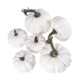 thumbnail image 1 of 6 piezas de calabazas artificiales Mini calabaza realista para manualidades de bricolaje Halloween otoño cosecha decoración de fiesta de acción de gracias, 1 of 5