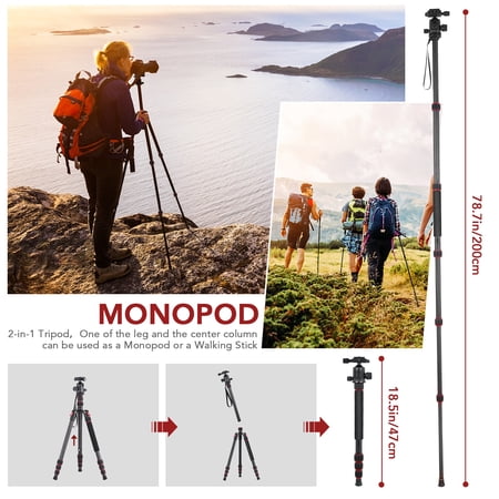 Tripod,Monopod Payload With Quick Ball Head With Carry Adjustable Carbon Fiber Camera Stand Qisuo Dslr Ttt-008 Dsfen Video Stand 78.7inches With