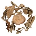 thumbnail image 1 of KAKOWELY Turtles Basking Platform Wood Natural Stump Design Easy Cleaning Multi 1 Set, 1 of 8